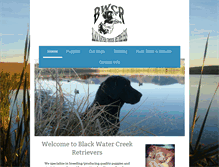 Tablet Screenshot of blackwatercreekretrievers.com